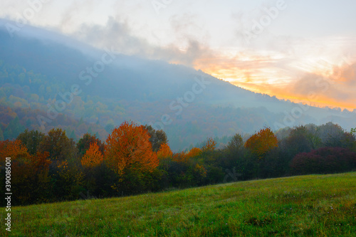 Foggy autumn landscape at sunset. With colorful leaves of trees. Mixed forest. Protected area, natural reserve Horná Súča, Slovakia. 