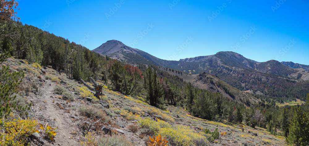 Plakat MT. ROSE, NEVADA, UNITED STATES - Sep 27, 2020: Trail beneath two Nevada mountains