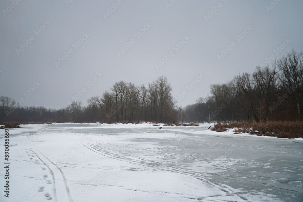 Winter forest with bare dark trees on a frozen river