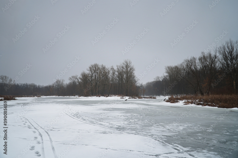 Winter forest with bare dark trees on a frozen river Winter forest with bare dark trees on a frozen river