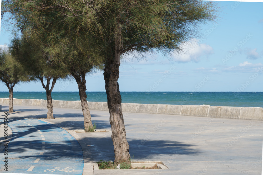 Alberi e mare