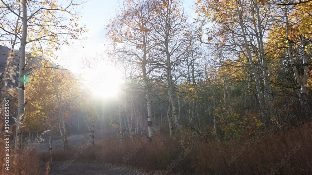 Walking down dirt road through the colorful Fall landscape towards the sun in Utah. Walking down dirt road through the colorful Fall landscape towards the sun in Utah.