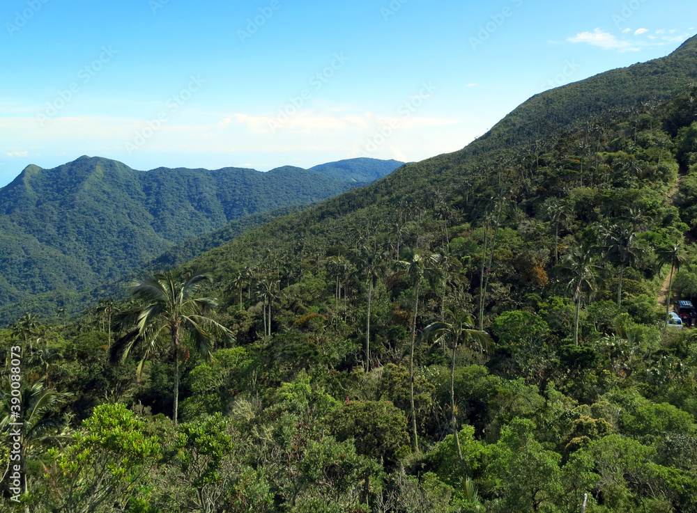 San Lorenzo ridge, El Dorado Bird reserve, Sierra Nevada, Santa Marta Mountains, Colombia