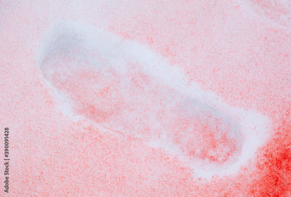 Fototapeta premium Trail with red paint on the snow in winter.