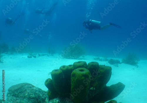 scuba diver caribbean sea Aruba Island