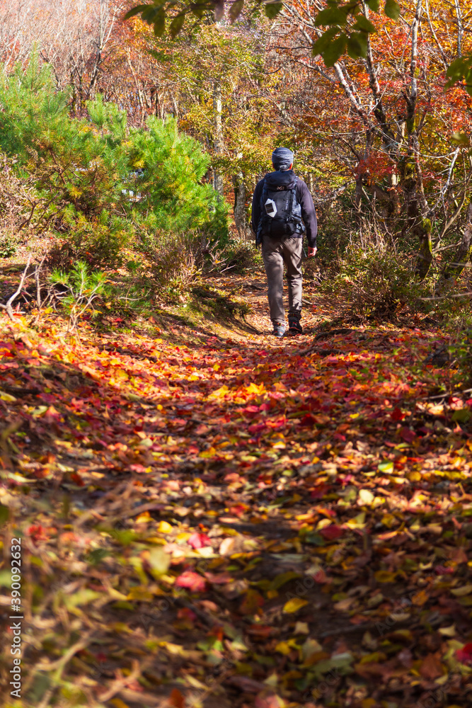 Naklejka premium 秋の武奈ヶ岳 登山風景