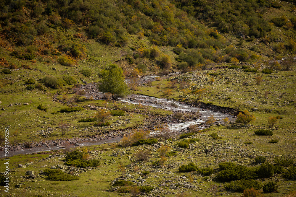 Meanders and curves of the Aragon Subordan River. Aragonese Pyrenees, near of Aguas Tuertas valley, Hecho and Anso, Huesca, Spain.