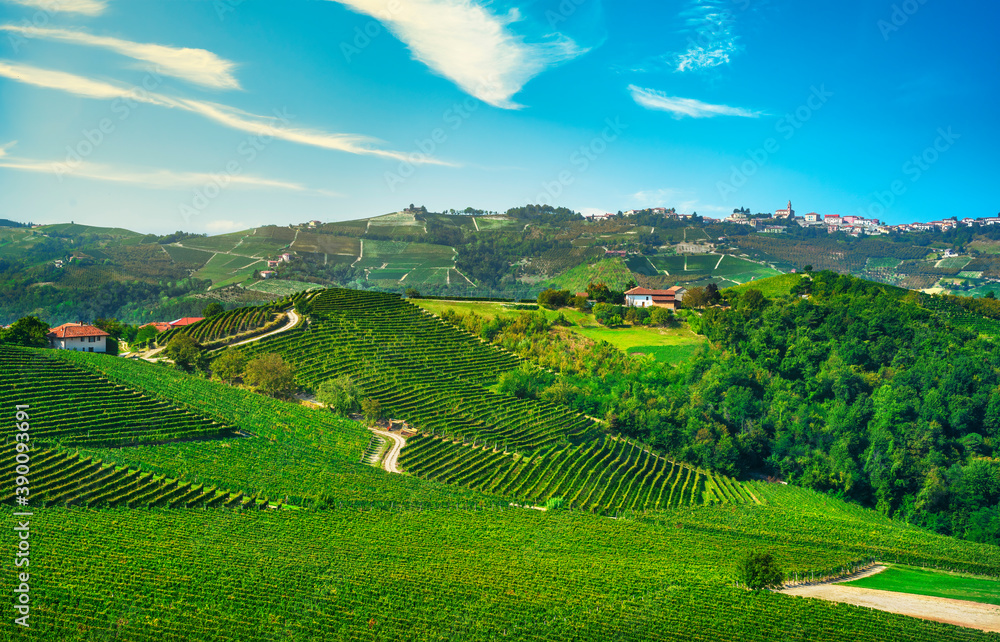 Langhe vineyards panorama and Diano d Alba, Piedmont, Italy Europe.