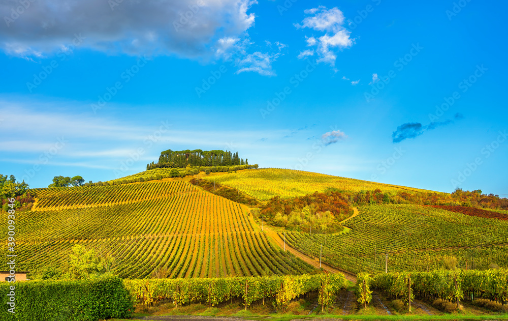 Hill and vineyards. Castellina in Chianti, Tuscany, Italy