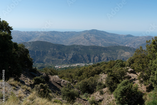 Mountainous landscape in Sierra Nevada in southern Spain, there are trees, bushes and grass on the ground, there are rocks, the sky is clear