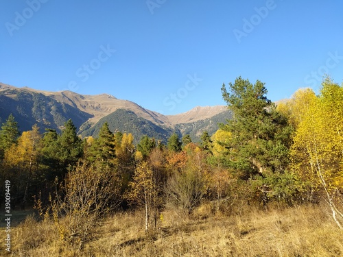 autumn in the mountains
