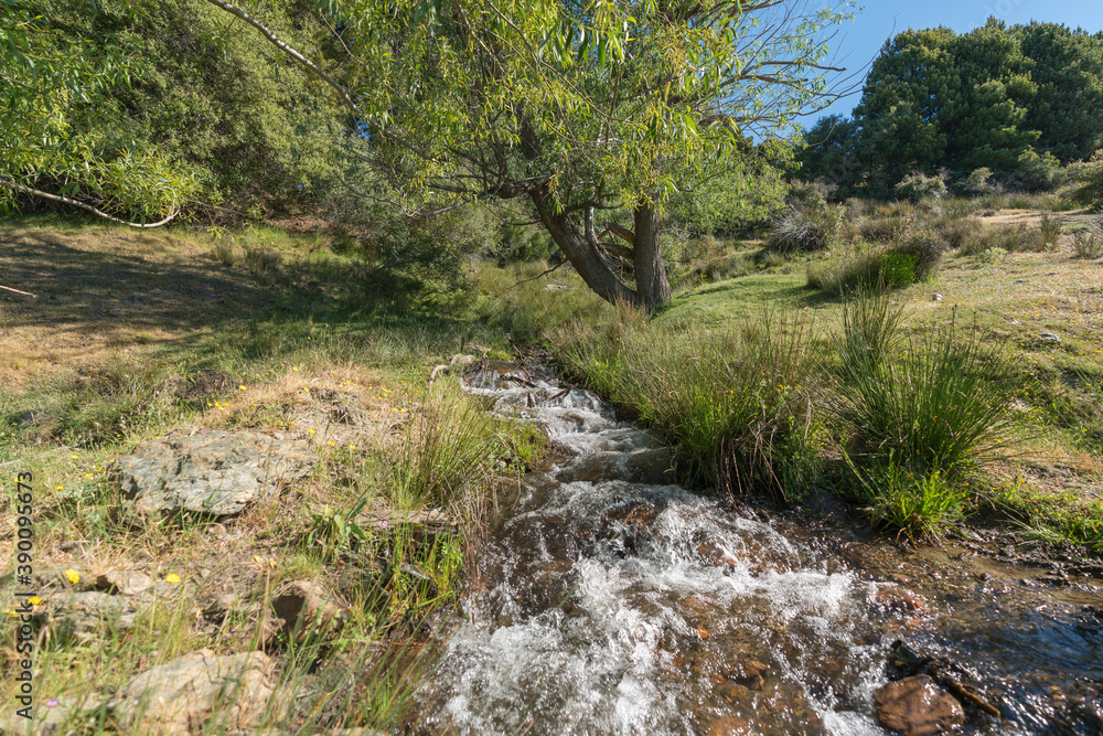 Crystal clear water flowing through a ditch Crystal clear water flowing through a ditch