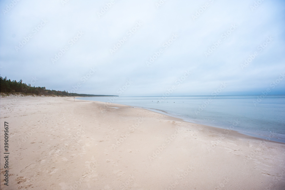 Baltic sea. Nature. Silence. Calm.