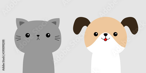 Cute cat dog set. Head face icon. Funny kawaii doodle baby animal. Cartoon funny character. Two friends. Pet collection. Kitten kitty puppy pooch. Flat design. White background. Isolated.