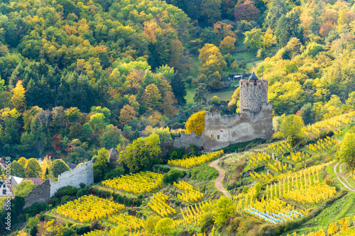 Le château du schlossberg à Kaysersberg vignoble, Haut-Rhin, Alsace, Grand Est, France photo