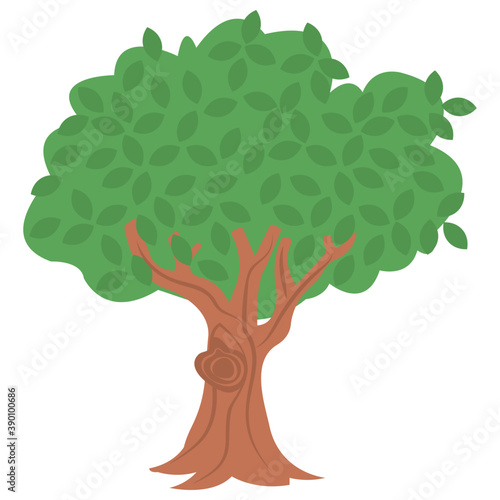 
A fresh fruit tree, apple tree flat icon
