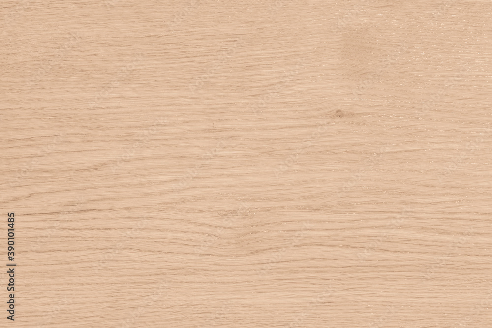 Light Wooden Background. Old Wood. Light Wooden Background. Old Wood.