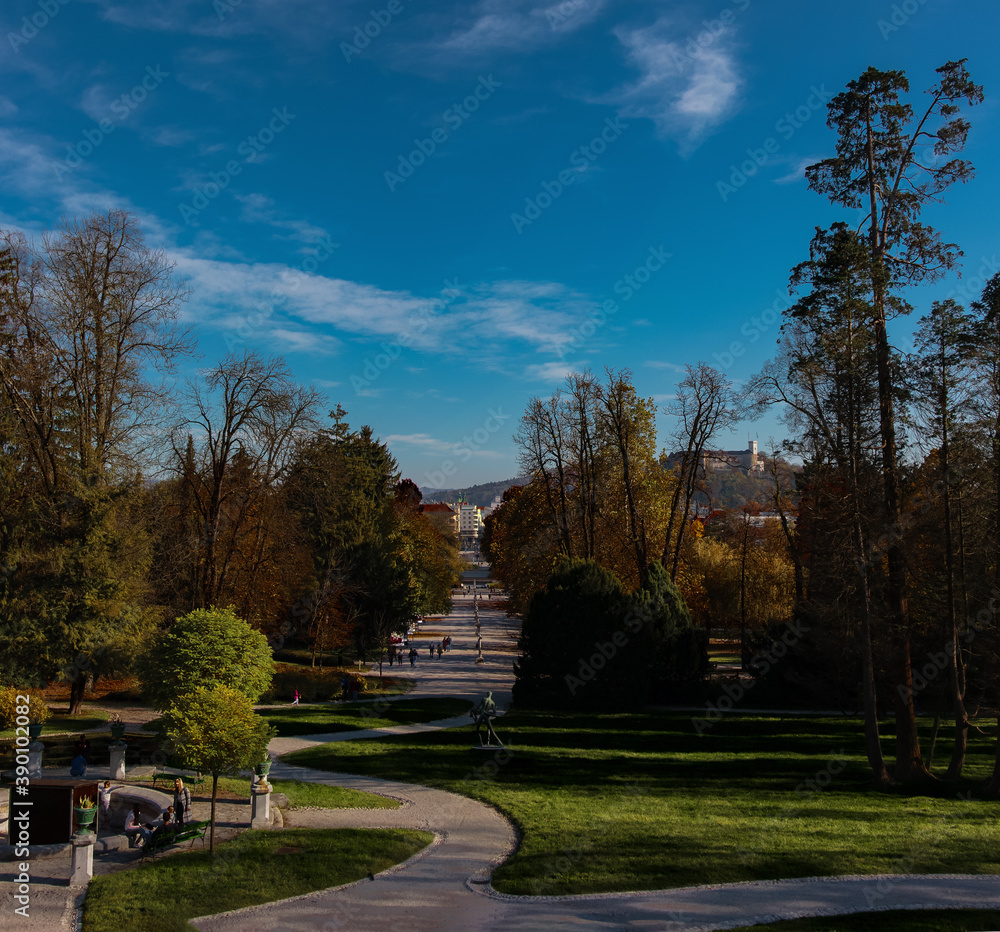 panorama view of the autumn park