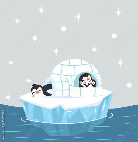 family penguin sleep in Igloo ice house