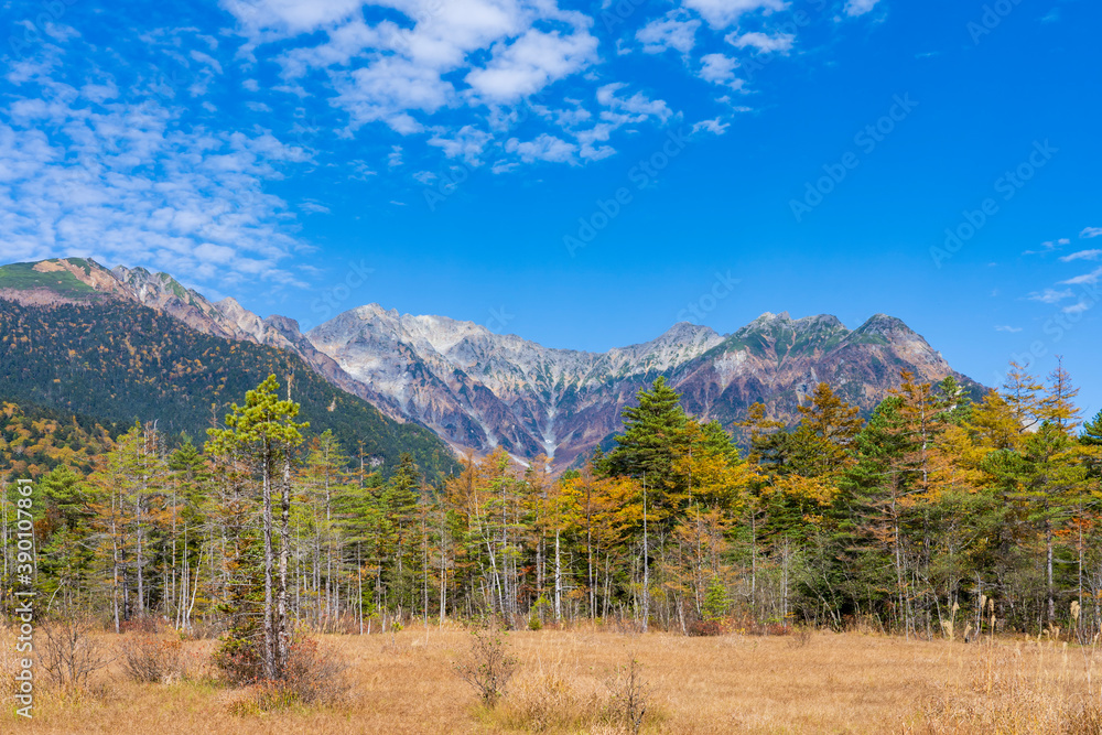 【上高地】秋の田代湿原(田代池) Stock Photo | Adobe Stock