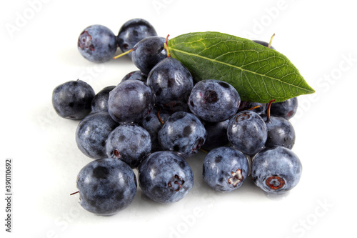 Northern blueberry and leaf