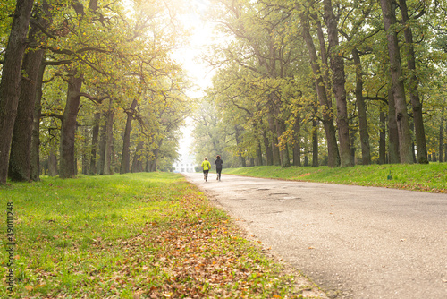 Women run at dawn in the morning park. Morning jogging in the fresh air. Cardio workout. © Владислав Легір