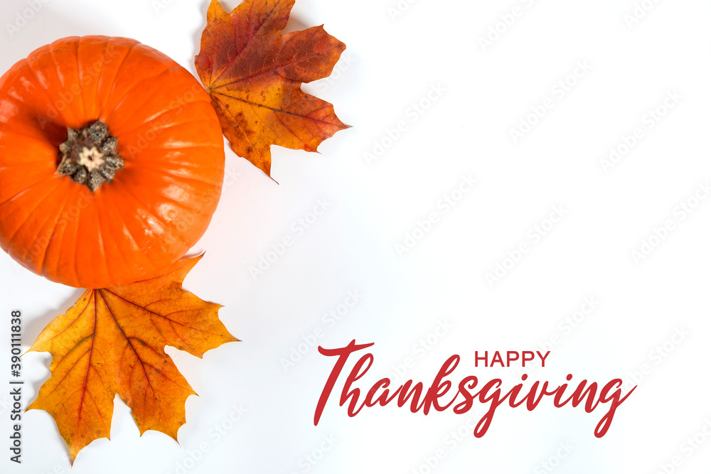 Thanksgiving greetings. Dry yellow leaves, pumpkins on a white background, top view. Kaligraphic capital inscription. Thanksgiving greetings. Dry yellow leaves, pumpkins on a white background, top view. Kaligraphic capital inscription.