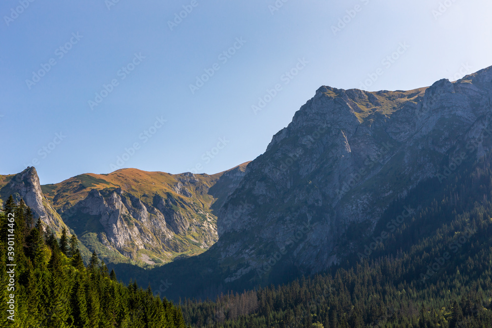 Naklejka Tatra Mountains landscape with Giewont, Siodlowa Turnia, Mnichowe Turnie and Wielka Turnia peaks, seen from Wielka Polana Malolacka Glade in autumn, Poland
