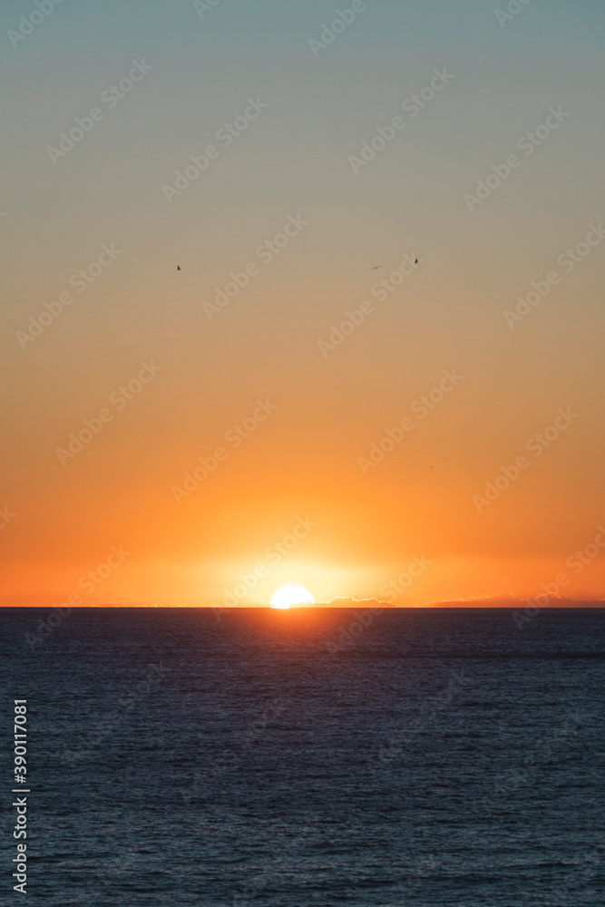 Fototapeta premium the sun rising over the horizon of the sea