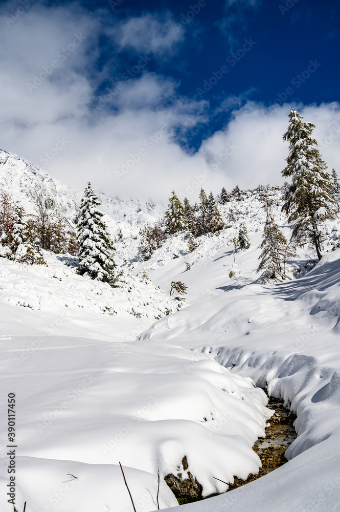 Obraz premium Winterlandschaft V