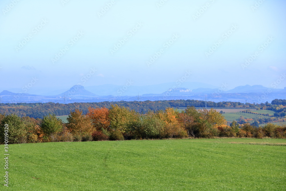 Meadow with grass and big autumn trees against blue sky in saxon switzerland