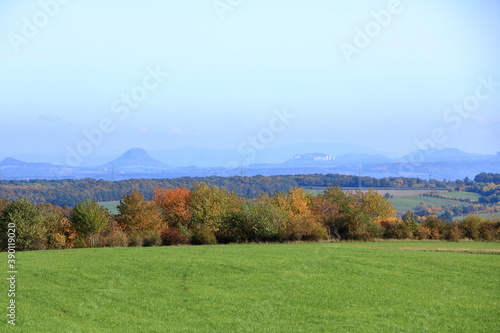 Meadow with grass and big autumn trees against blue sky in saxon switzerland