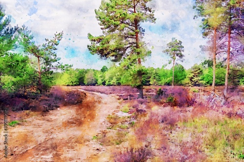 Watercolor illustration of heath flower landscape in Germany.