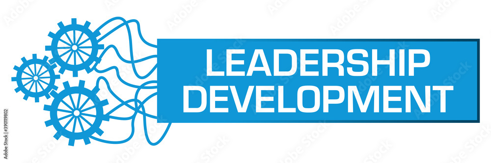 Fototapeta premium Leadership Development Gears Random Lines Box Horizontal 