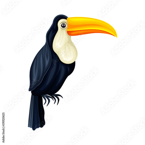 Toucan with Large Bill as Warm-blooded Vertebrates or Aves Vector Illustration