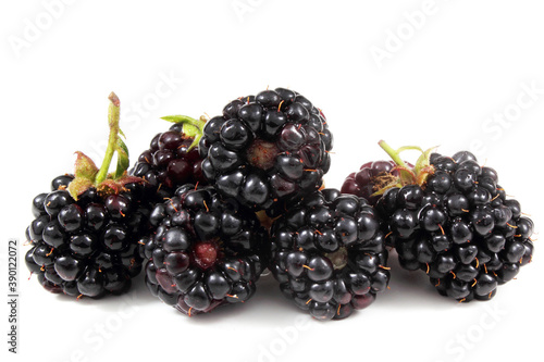Blackberries isolated on white  
