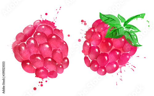 Watercolor vector illustration of raspberry