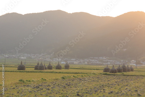 夕暮れ時 わらぐろのある風景