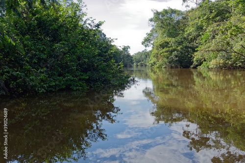 The Cuyabeno River in Cuyabeno Wildlife Reserve (Amazonia, Ecuador)
