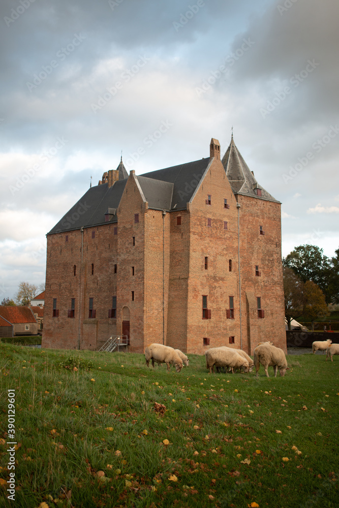 Castle of Loevestein at an autumn day with some sheep. No edit in portrait view