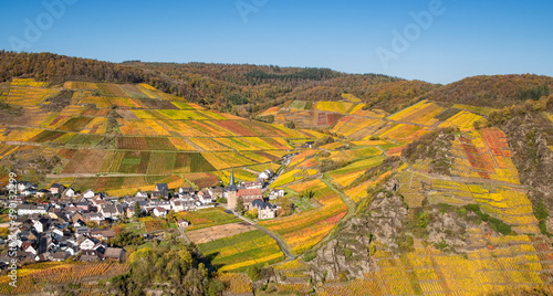 Wine village Mayschoss in the Ahr valley with fall colored vineyards on the south-facing terraced slopes in autumn, Eifel, Rhineland-Palatinate, Germany photo