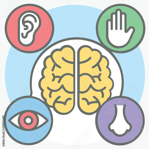 Sensory Activities 