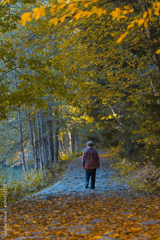 Young woman in warm clothes walking on yellow fallen leaves in forest. Golden autumn day. Spending time alone in nature. Young woman in warm clothes walking on yellow fallen leaves in forest. Golden autumn day. Spending time alone in nature.