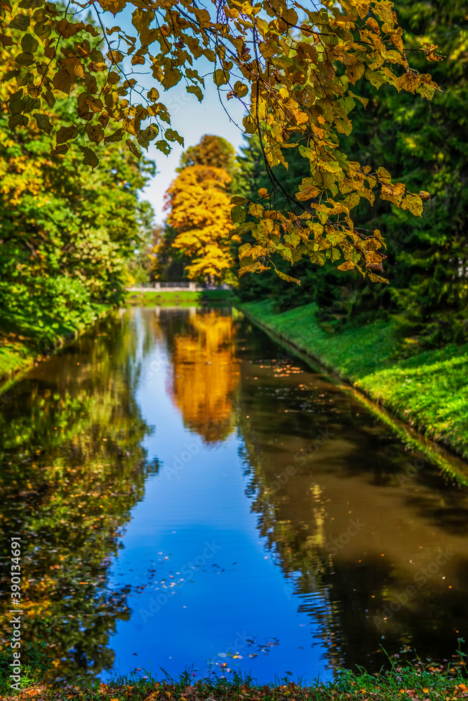 Picturesque golden foliage with reflection in the U-shaped pond. Upper park. Oranienbaum. Lomonosov. St. Petersburg. Russia