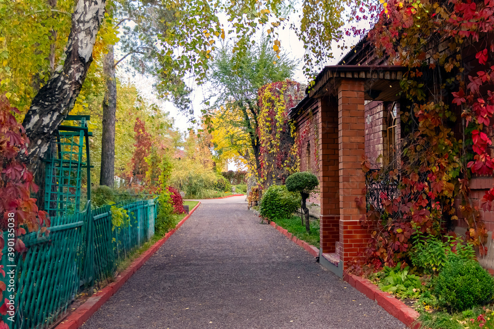 Autumn scenery with the golden foliage and red leaves a footpath leading into the scene