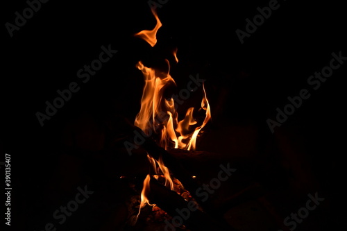 firewood s burn in a fire-place a fire