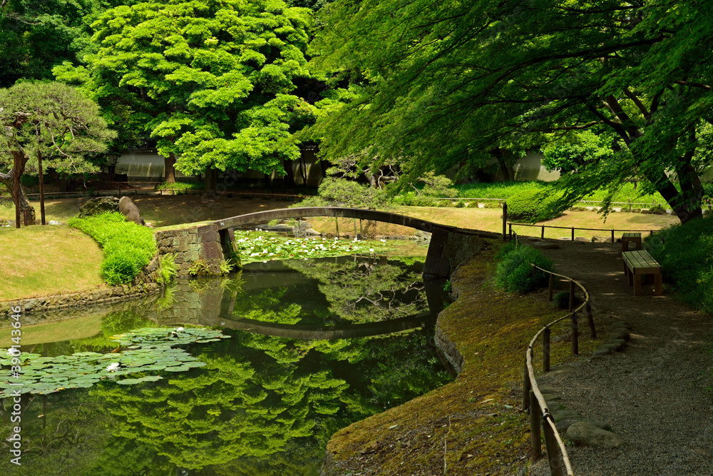 Fototapeta premium 小石川後楽園・内庭 水戸藩書院跡