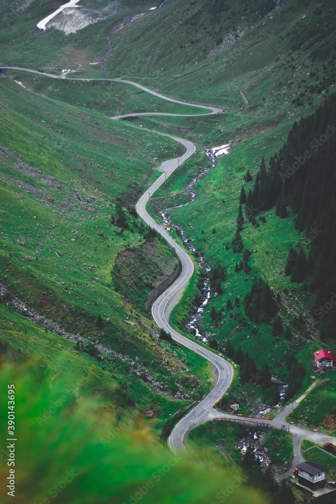 Road surrounded by green nature, aerial drone Road surrounded by green nature, aerial drone