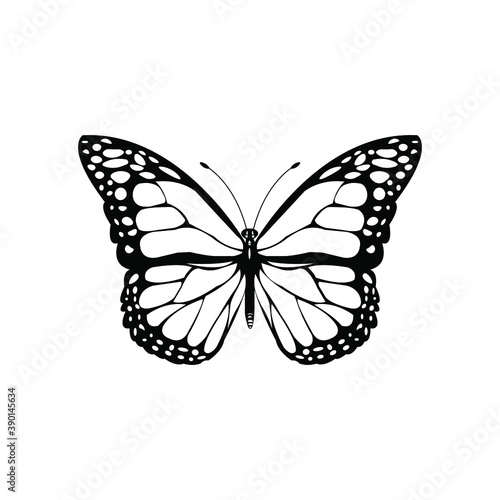 Black color Butterfly Top Shot Vector Illustration on white background