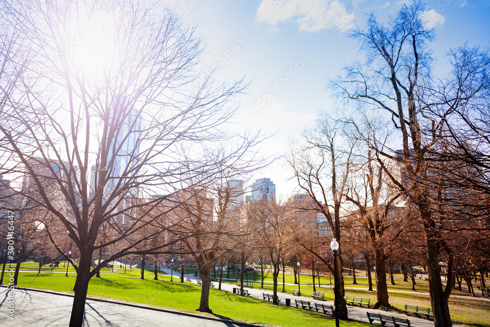 Spring time and Boston Common Park in downtown, Massachusetts, USA Spring time and Boston Common Park in downtown, Massachusetts, USA